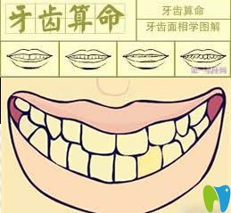 人的牙齒有多少顆？網(wǎng)傳28顆牙齒的命運(yùn)是大貴之人真的嗎
