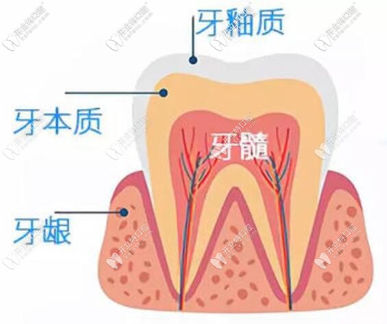 牙齒敏感酸痛怎么辦？速來(lái)了解快速緩解的方法