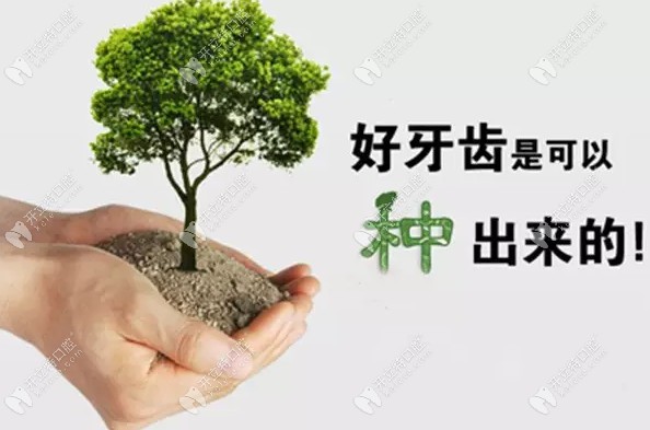 參加昆明柏德口腔種牙分享活動(dòng),直擊德國ICX種植牙全過程